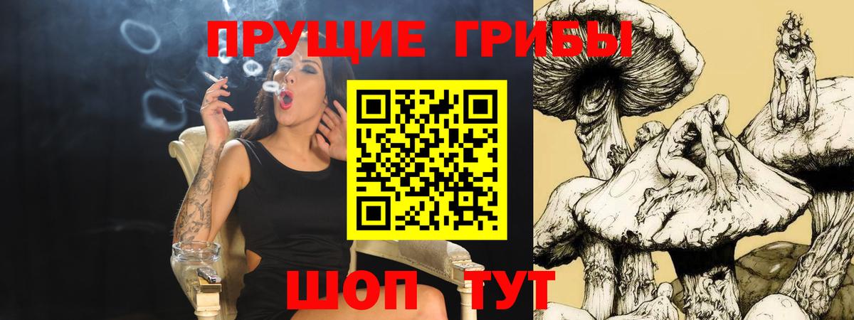 Верхняя Салда  Псилоцибиновые грибы Cubensis  Вход с VPN 