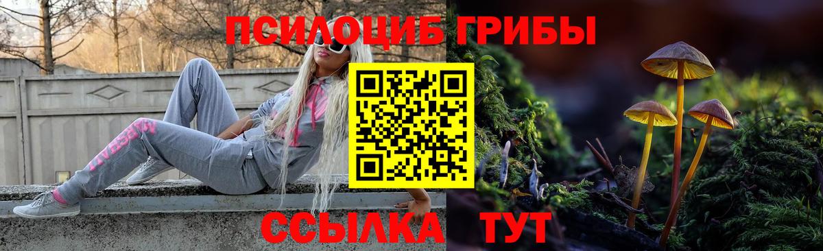 Галлюциногенные грибы ЛСД Верхняя Салда